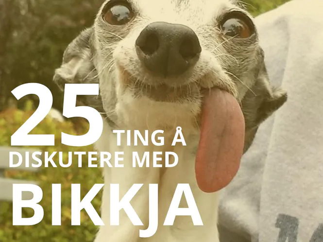 Hovedbilde 25 ting å diskutere med bikkja